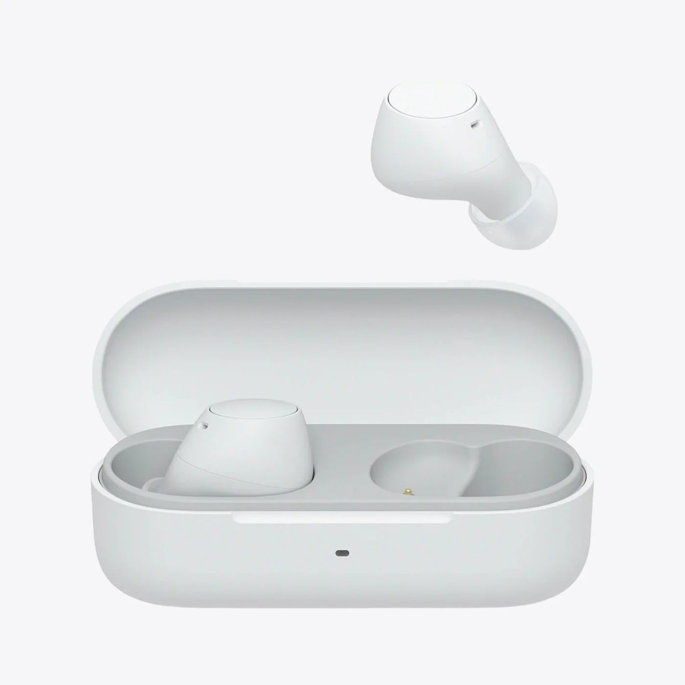 Premium Ears Tips